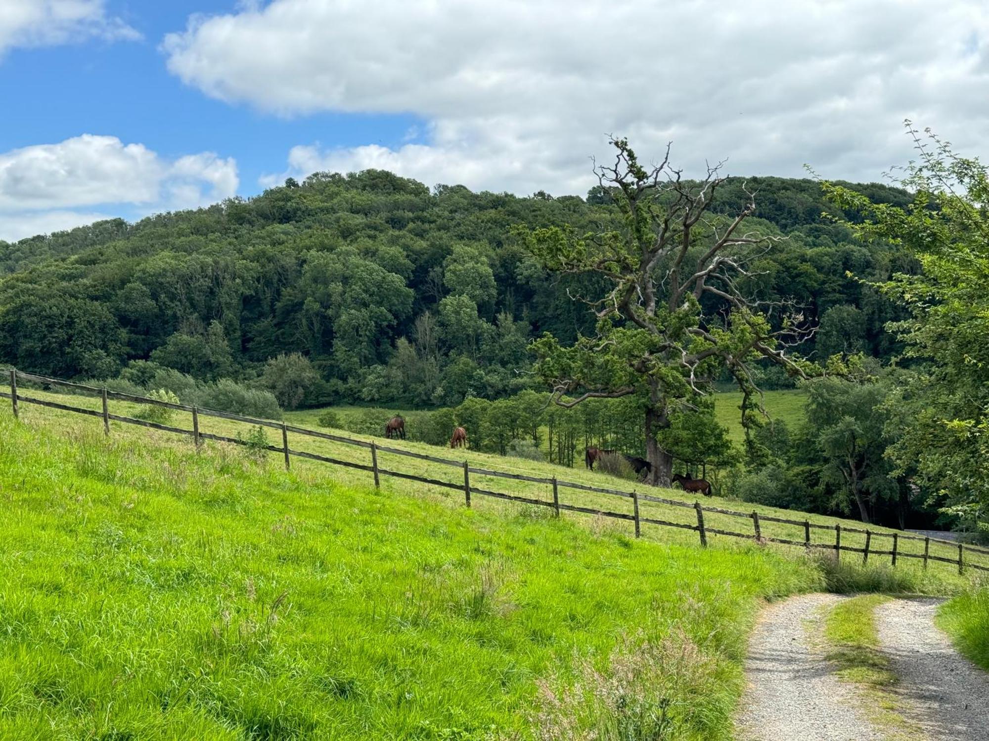 The Spring Slad Valley Cotswolds Painswick Eksteriør billede